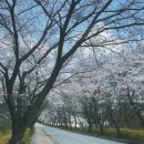 효원목장 이미지