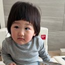 돌아기 간식 요미요미 미니팝 우래기 솔직 후기