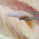 금강회수산 이미지