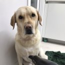 뽀송뽀송 이미지