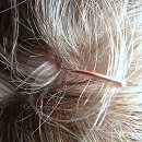 안아픈세상한의원 | 요즘 몸 밸런스 훅 간 거 실화냐? 밸런스 맞추러 강북안정한의원 출격!