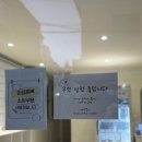 투유 | 대구강아지케이크 수제케이크 맛집 댕스투유 솔직후기