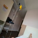 메디피아산부인과의원 이미지