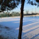 초지일관공인중개사사무소 이미지