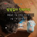 행복을 주는 노랑멍멍 | [멍멍집사 펫브러쉬] 스팀으로 더 부드럽게! 강아지빗 한 번에 해결한 찐 사용 후기