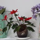 원고개 다락방 이미지