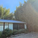 솔밭에온가마 이미지