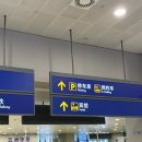 호텔클로버 | 상하이 호텔 추천 노보텔 상하이 클로버 2박 솔직후기