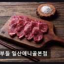 1289 | 일산 동구 맛집 더부들 일산애니골본점 고기 질과 가성비 모두 주목