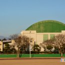 표선생활체육관 인조잔디구장 이미지