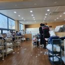 예쁜 애견 미용 이미지