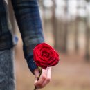 착한결혼정보사 이미지