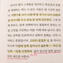 작가의 창작비밀 | 내 주머니는 맑고 강풍 리뷰 | 최진영 에세이 창작 노트 후기
