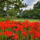 맑은샘센텀병원 이미지