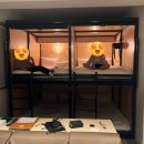 카몬호텔 이미지