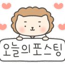 경희대 석사 우리 태권도장 이미지