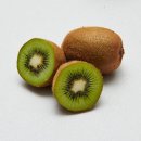 즐거운야채 과일 이미지