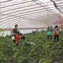 동수농장 이미지