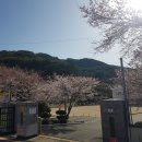 외포초교 뒤 이미지