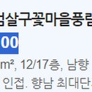 향남 살구꽃공원
