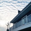 쌍도하우스 이미지