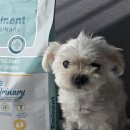 (주)에미넌트 이미지