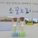 소꿈노리