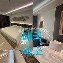 호텔파타야 | 방콕·파타야 숙소 후기｜[Blackwoods 호텔 파타야 / 애드미럴 프리미어 방콕]