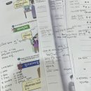 서울 대교 랭귀지 스퀘어 스페인어 학원 2회차 후기｜여행 스페인어 기초회화와 숫자, 요일 배우기