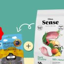 시니어펫 이미지