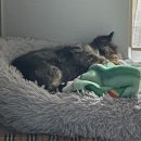 황자반놀이터 이미지