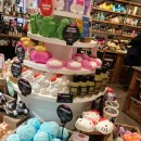 이레패션 | 오사카 쇼핑 성지! 우메다 루쿠아(LUCUA) 완전 정복캐릭터 굿즈부터 러쉬까지 털고 온 솔직 후기