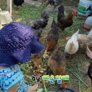 혜온농장 이미지