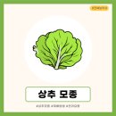 고려농약사 이미지