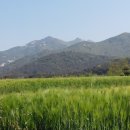 힐링도원 이미지