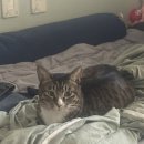 은비네농장 이미지