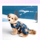 오늘도귀엽개 | 댕댕이 겨울나기 필수템! 깔깔이 패딩 조끼 입고 귀여움 2배 UP! 소형견 겨울옷