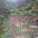 성숙농장 이미지