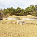 이윤경선생묘 및 신도비 이미지