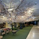 그랜드밀리언스호텔서귀포 | 제주 서귀포 가성비숙소 그랜드밀리언스호텔 서귀포 내돈내산 가성비 2만원대 한 가지 아쉬운점