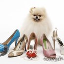 길동물병원 이미지