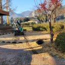 물금초등학교 이미지