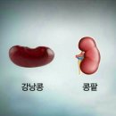 몸몸몸 이미지