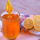 정직한 피트니스 이미지