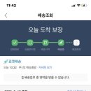 콩자 이미지