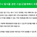 밍태양광발전소 이미지