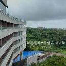 호텔문 | 제주도) 히든클리프 호텔&amp;네이처 문나이트 이용후기(내돈내산)