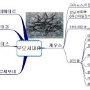 그리스장 Daum카페
