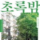 초록밤 이미지