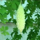 전산교육장 이미지